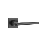 ERBA Q